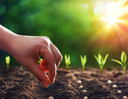 $100 Dollar a Month Faith Cultivator 1